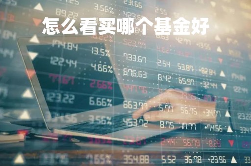 怎么看买哪个基金好「怎么看哪个基金值得买」
