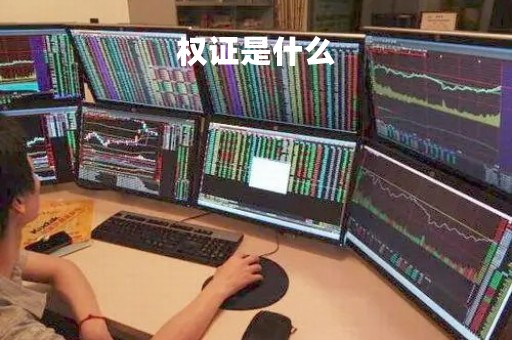 权证是什么「股权证是什么东西农村的股权证是什么」