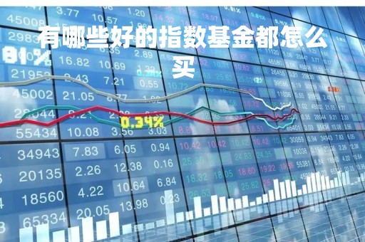 有哪些好的指数基金都怎么买「指数基金买哪只好」