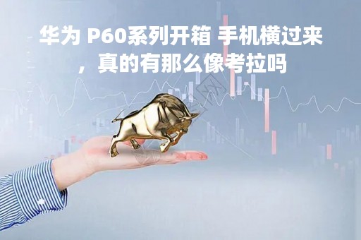 华为 P60系列开箱 手机横过来，真的有那么像考拉吗