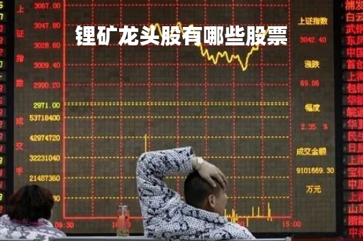 锂矿龙头股有哪些股票「十大锂矿龙头股一览表」