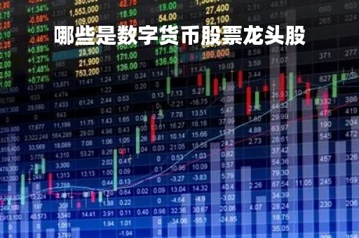 哪些是数字货币股票龙头股「数字货币的龙头股有哪些」