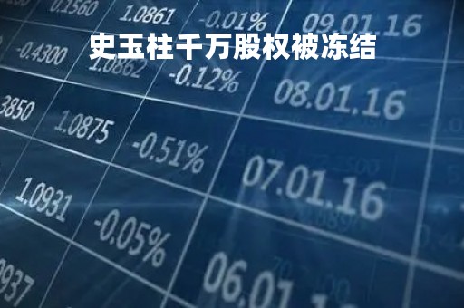 史玉柱千万股权被冻结「史玉柱6500万元股权被冻结」