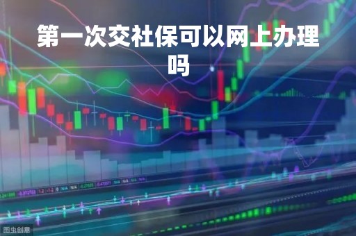 第一次交社保可以网上办理吗