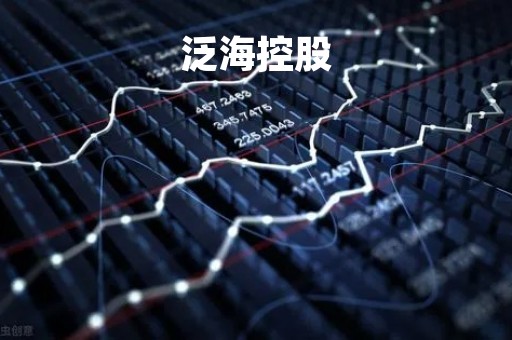 泛海控股「泛海控股董事长」