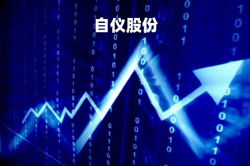 自仪股份「自仪b股」