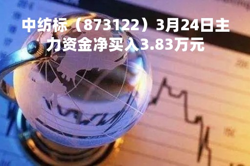 中纺标（873122）3月24日主力资金净买入3.83万元