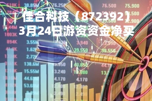 佳合科技（872392）3月24日游资资金净买入4.13万元