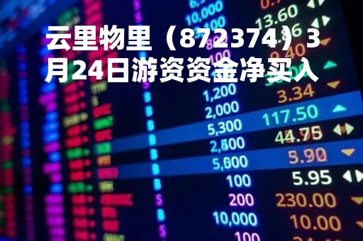 云里物里（872374）3月24日游资资金净买入36.84万元