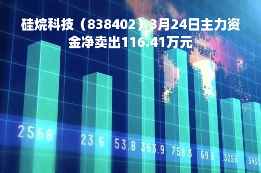 硅烷科技（838402）3月24日主力资金净卖出116.41万元