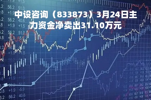中设咨询（833873）3月24日主力资金净卖出31.10万元