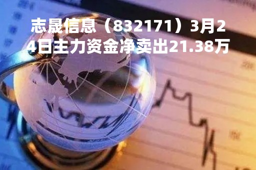 志晟信息（832171）3月24日主力资金净卖出21.38万元