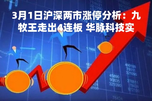 3月1日沪深两市涨停分析：九牧王走出4连板 华脉科技实现3连板