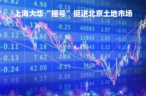 上海大华“摇号”挺进北京土地市场