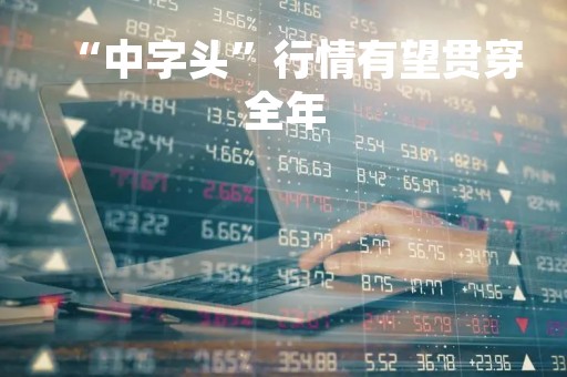“中字头”行情有望贯穿全年