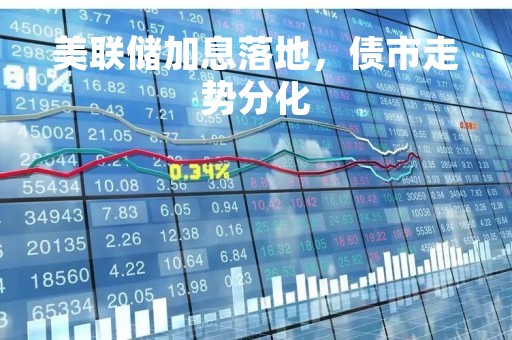 美联储加息落地，债市走势分化