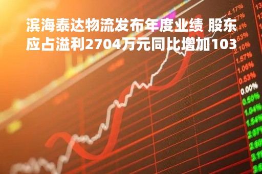 滨海泰达物流发布年度业绩 股东应占溢利2704万元同比增加103.3%