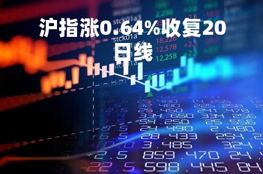 沪指涨0.64%收复20日线