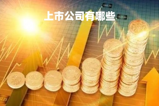 上市公司有哪些「上市公司有哪些部门」