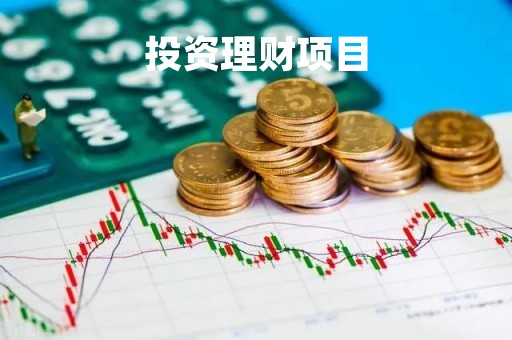 投资理财项目