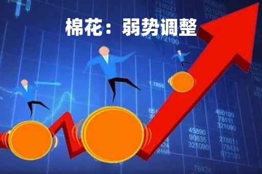 棉花：弱势调整