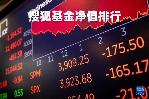 搜狐基金净值排行「搜狐基金519195」