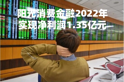 阳光消费金融2022年实现净利润1.35亿元，总资产124.77亿元