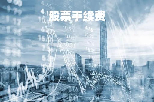 股票手续费「股票手续费最低的是哪家证券公司」