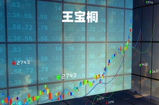 王宝桐「王宝桐 张强」