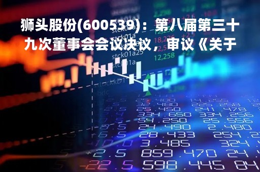 狮头股份(600539)：第八届第三十九次董事会会议决议，审议《关于控股子公司对合资公司增资暨关联交易的议案》等议案