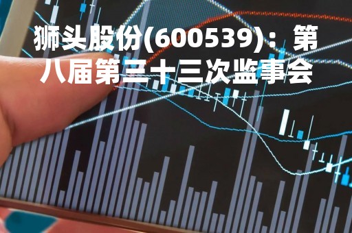 狮头股份(600539)：第八届第三十三次监事会会议决议，审议关于控股子公司对合资公司增资暨关联交易的议案等议案