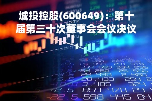 城投控股(600649)：第十届第三十次董事会会议决议，审议《公司2022年度董事会工作报告》等议案