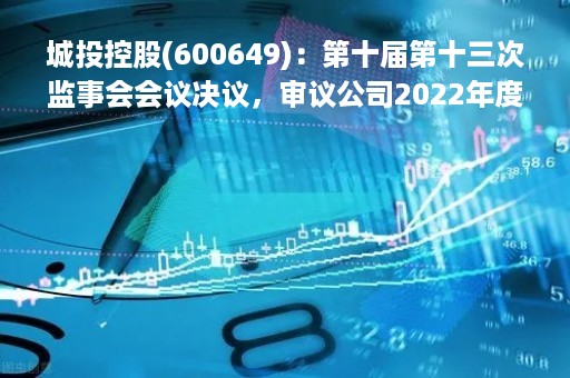 城投控股(600649)：第十届第十三次监事会会议决议，审议公司2022年度监事会工作报告等议案