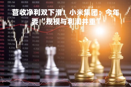 营收净利双下滑！小米集团：今年要“规模与利润并重”