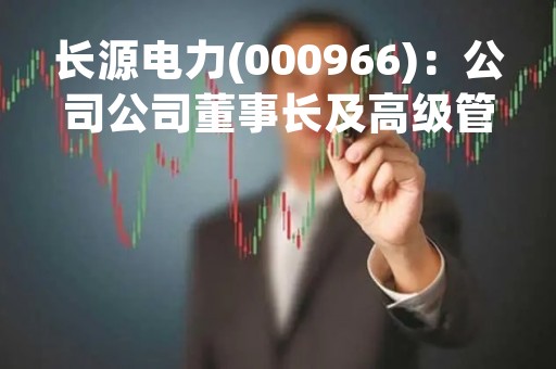 长源电力(000966)：公司公司董事长及高级管理人员辞职的公告