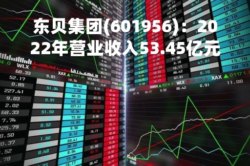 东贝集团(601956)：2022年营业收入53.45亿元，与上期同比减少11.79%