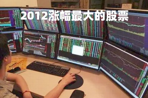 2012涨幅最大的股票「2012年涨幅最大的板块」