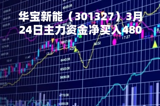 华宝新能（301327）3月24日主力资金净买入4807.80万元