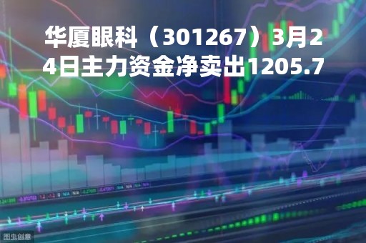 华厦眼科（301267）3月24日主力资金净卖出1205.75万元