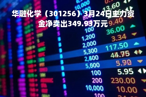 华融化学（301256）3月24日主力资金净卖出349.93万元
