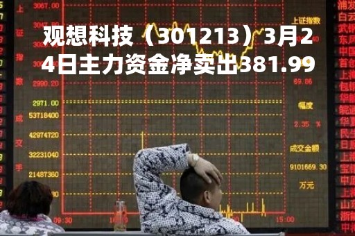 观想科技（301213）3月24日主力资金净卖出381.99万元