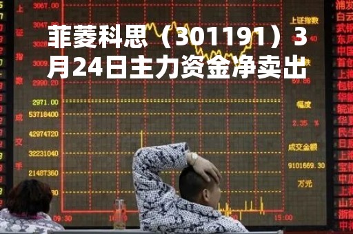 菲菱科思（301191）3月24日主力资金净卖出1078.87万元