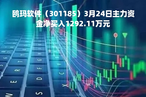 鸥玛软件（301185）3月24日主力资金净买入1292.11万元