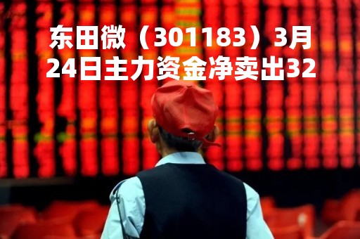 东田微（301183）3月24日主力资金净卖出320.15万元
