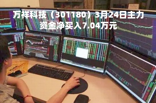 万祥科技（301180）3月24日主力资金净买入7.04万元