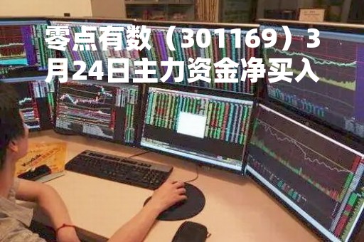 零点有数（301169）3月24日主力资金净买入2165.10万元