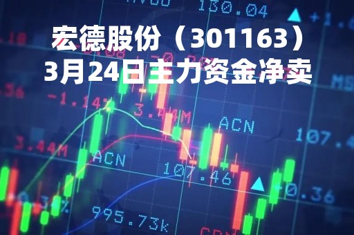 宏德股份（301163）3月24日主力资金净卖出67.19万元