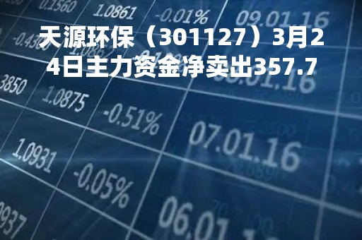 天源环保（301127）3月24日主力资金净卖出357.77万元