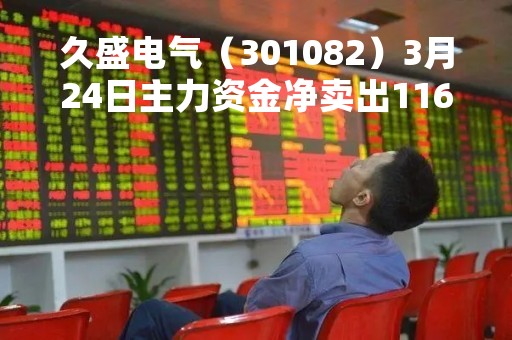 久盛电气（301082）3月24日主力资金净卖出116.39万元