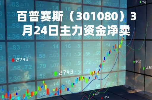 百普赛斯（301080）3月24日主力资金净卖出618.73万元